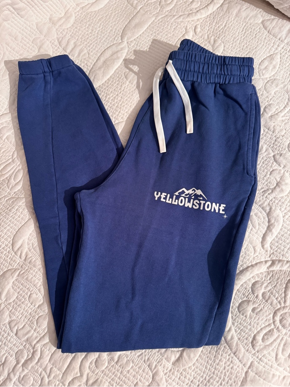 Men's Navy Blue Logo Jogger Sweatpants